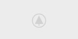wood-gallery-placeholder-5 wood-gallery-placeholder-5